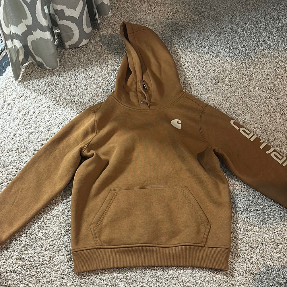 Carhartt Men's Tan Hoodie